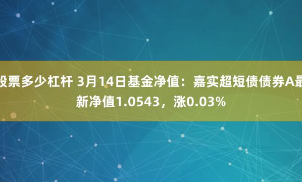 股票多少杠杆 3月14日基金净值：嘉实超短债债券A最新净值1.0543，涨0.03%