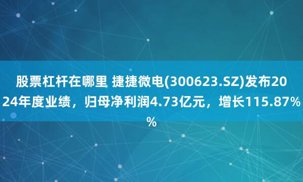 股票杠杆在哪里 捷捷微电(300623.SZ)发布2024年度业绩，归母净利润4.73亿元，增长115.87%