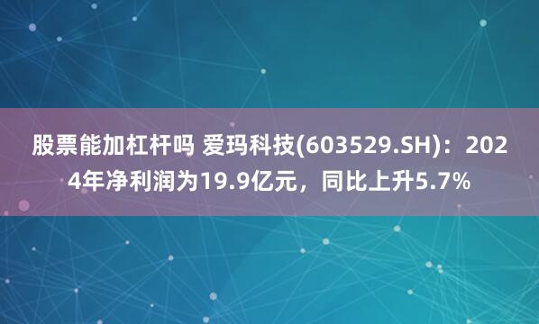 股票能加杠杆吗 爱玛科技(603529.SH)：2024年净利润为19.9亿元，同比上升5.7%