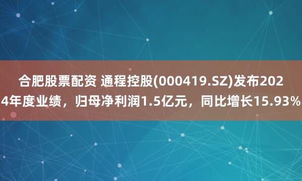 合肥股票配资 通程控股(000419.SZ)发布2024年度业绩，归母净利润1.5亿元，同比增长15.93%