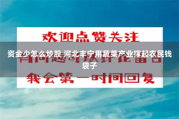 资金少怎么炒股 河北丰宁用蔬菜产业撑起农民钱袋子