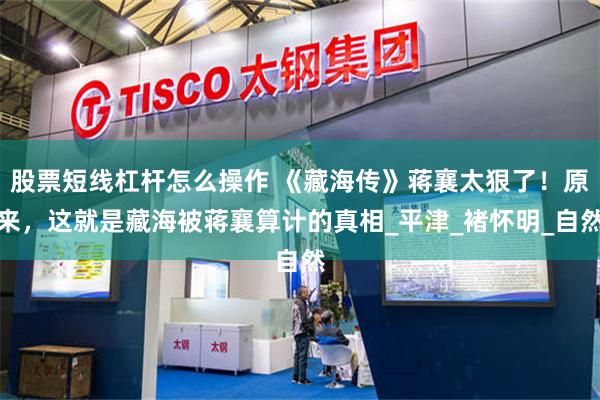 股票短线杠杆怎么操作 《藏海传》蒋襄太狠了！原来，这就是藏海被蒋襄算计的真相_平津_褚怀明_自然