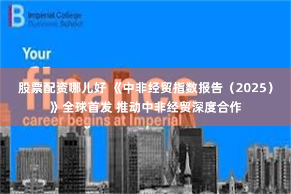股票配资哪儿好 《中非经贸指数报告（2025）》全球首发 推动中非经贸深度合作