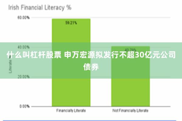 什么叫杠杆股票 申万宏源拟发行不超30亿元公司债券