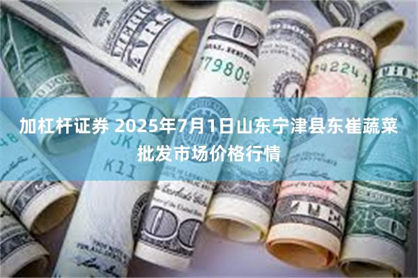 加杠杆证券 2025年7月1日山东宁津县东崔蔬菜批发市场价格行情